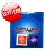 GATEWAY 3DS（すべての3DS ROM起動できるマジコン）