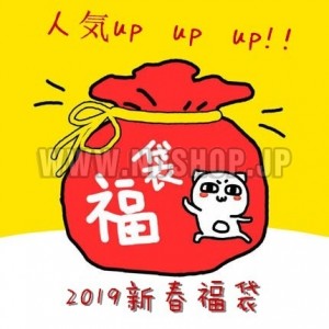 [2019新春福袋DSマジコン] 　NDSHOP　DSマジコン＋メモリーカード入り　